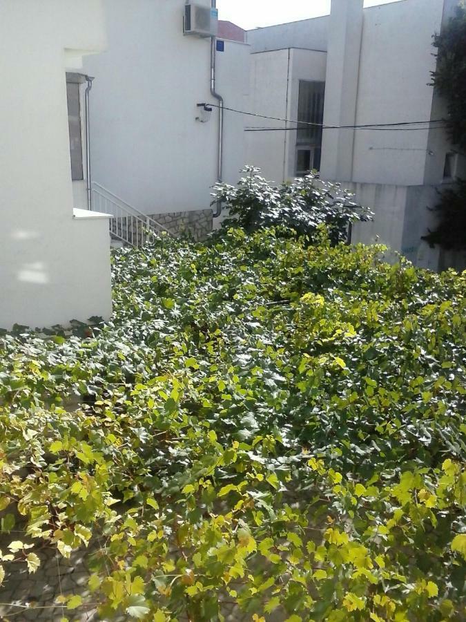 Apartmani Marić Selce Bagian luar foto